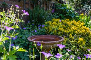 Photo 25- click for photo gallery